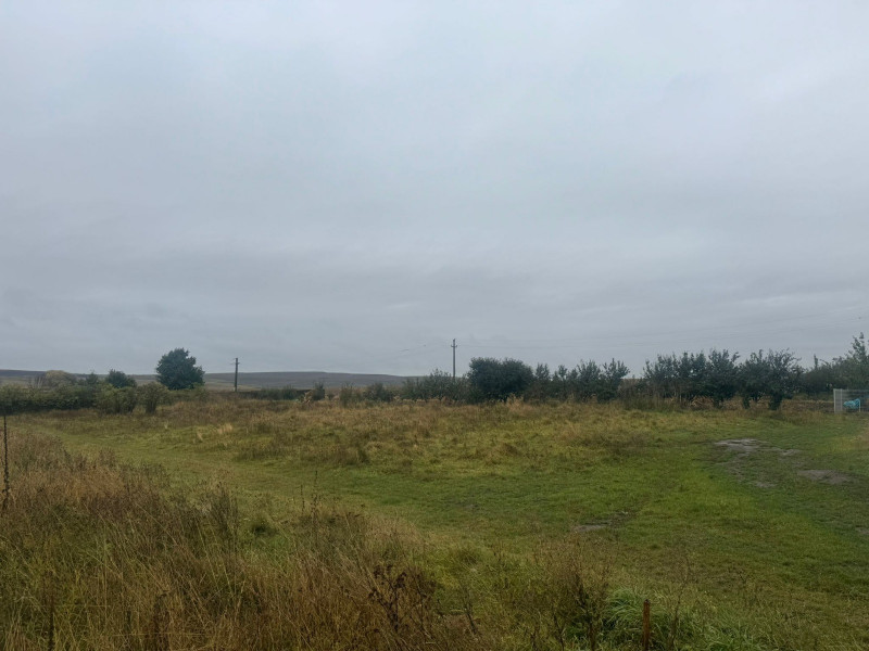 Vanzare 10.000 mp teren Liteni Suceava- la strada -potrivit proiect fonduri