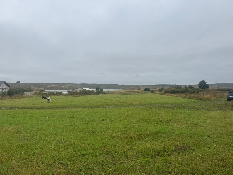 Vanzare 10.000 mp teren Liteni Suceava- la strada -potrivit proiect fonduri