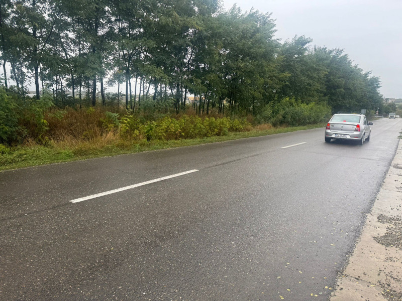 Vanzare 10.000 mp teren Liteni Suceava- la strada -potrivit proiect fonduri