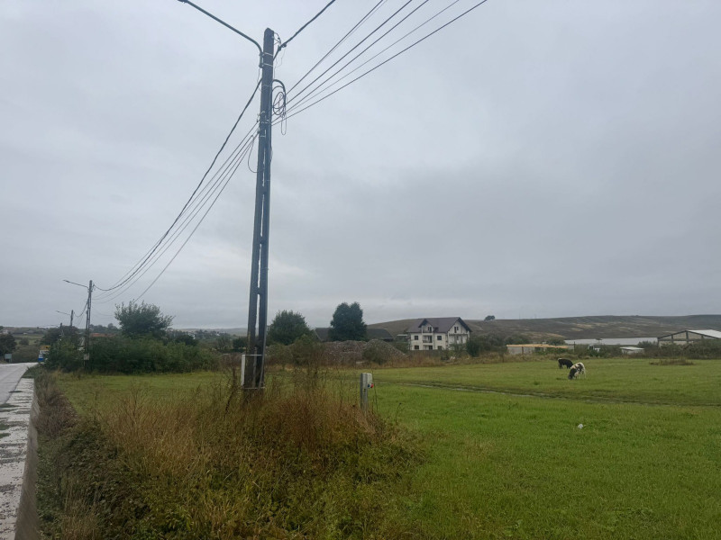 Vanzare 10.000 mp teren Liteni Suceava- la strada -potrivit proiect fonduri