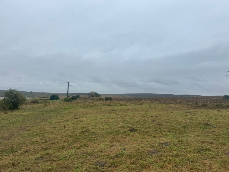 Vanzare 10.000 mp teren Liteni Suceava- la strada -potrivit proiect fonduri