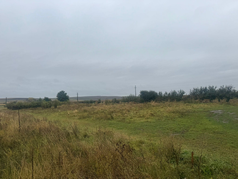 Vanzare 10.000 mp teren Liteni Suceava- la strada -potrivit proiect fonduri