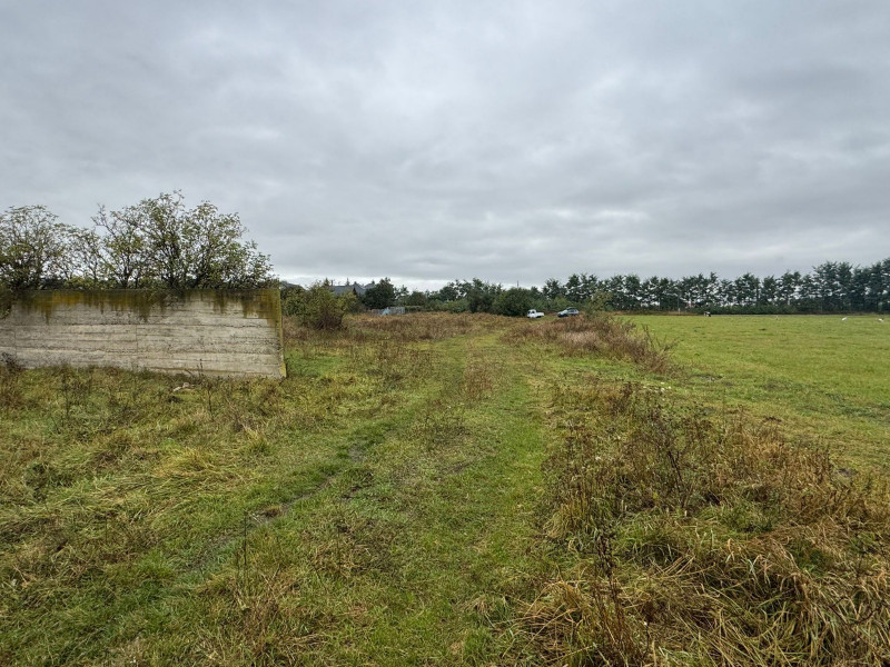 Vanzare 10.000 mp teren Liteni Suceava- la strada -potrivit proiect fonduri