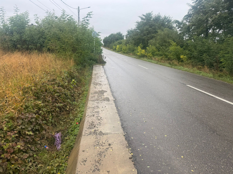 Vanzare 10.000 mp teren Liteni Suceava- la strada -potrivit proiect fonduri