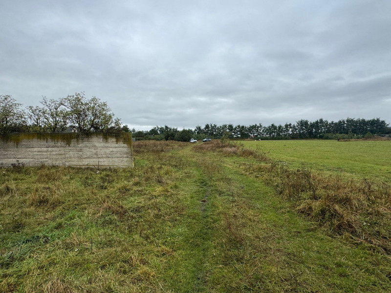 Vanzare 10.000 mp teren Liteni Suceava- la strada -potrivit proiect fonduri