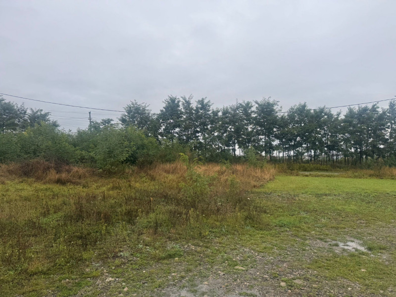 Vanzare 10.000 mp teren Liteni Suceava- la strada -potrivit proiect fonduri