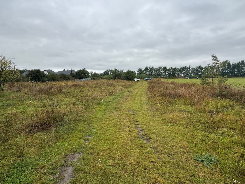 Vanzare 10.000 mp teren Liteni Suceava- la strada -potrivit proiect fonduri