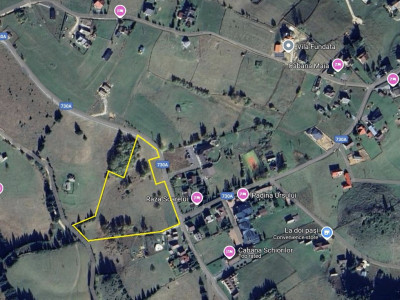 Fundata, VAND 15000 mp, un VIS vis a vis de Raza Soarelui