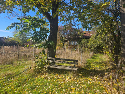 Teren intravilan Ploiesti Bucov