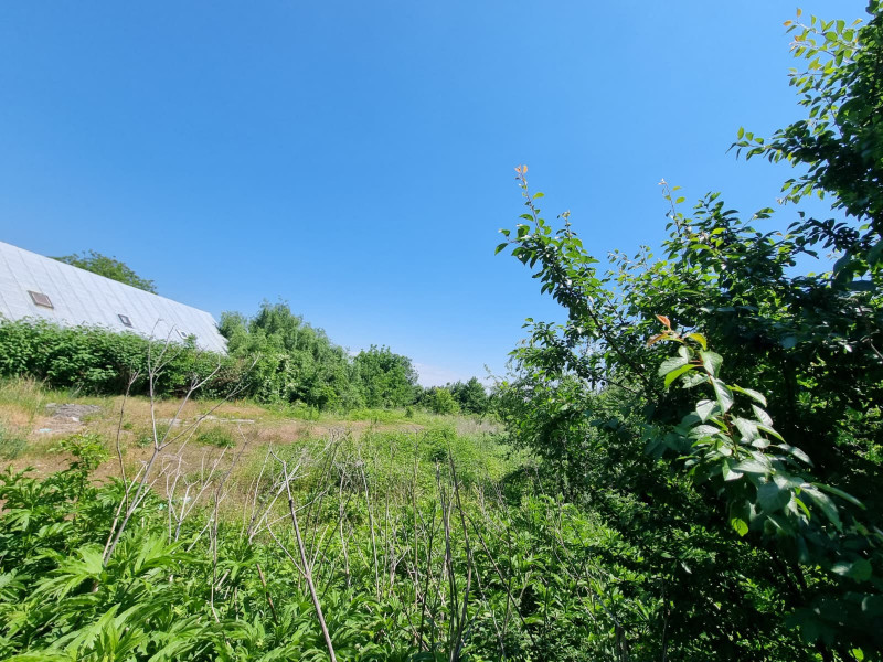 INVESTIȚIE REALĂ SIGURĂ, 2100 MP STRAULESTI