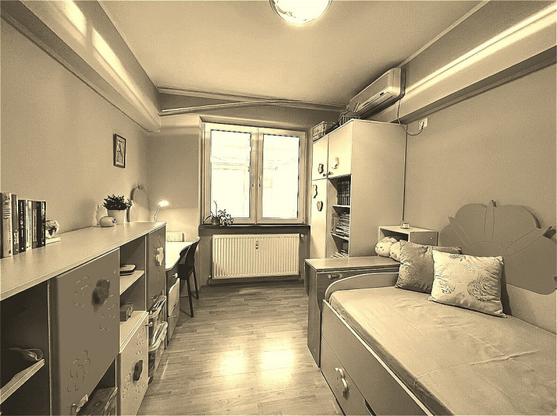 VANZARE 3 CAM, SOS PANTELIMON 311