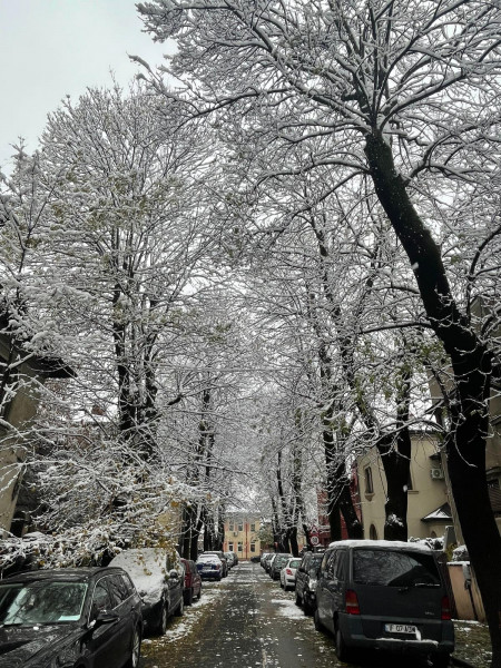 VAND TREI CAMERE, DECOMANDAT, MUNCII-CALARASILOR 