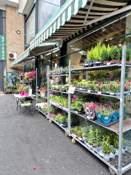 Apartament decomandat 2 camere, 60MP,  etaj 1, Calea Dorobanților!