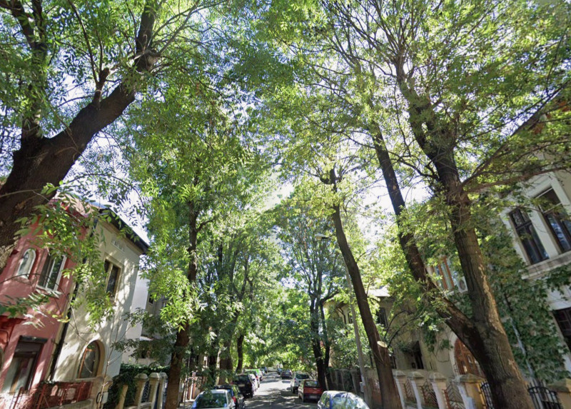 De vrei viață fericită, hai pe-o stradă liniștită!