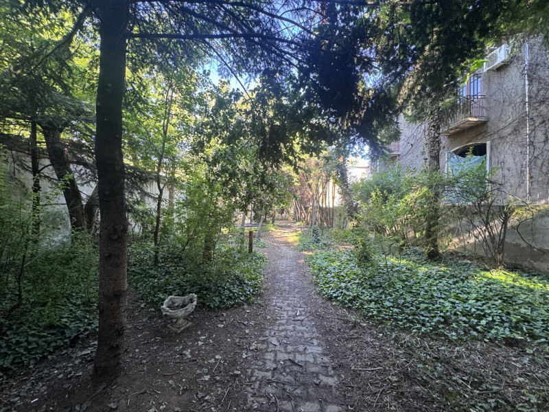 Proprietate unica la Grădina Icoanei
