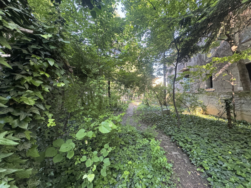 Proprietate unica la Grădina Icoanei