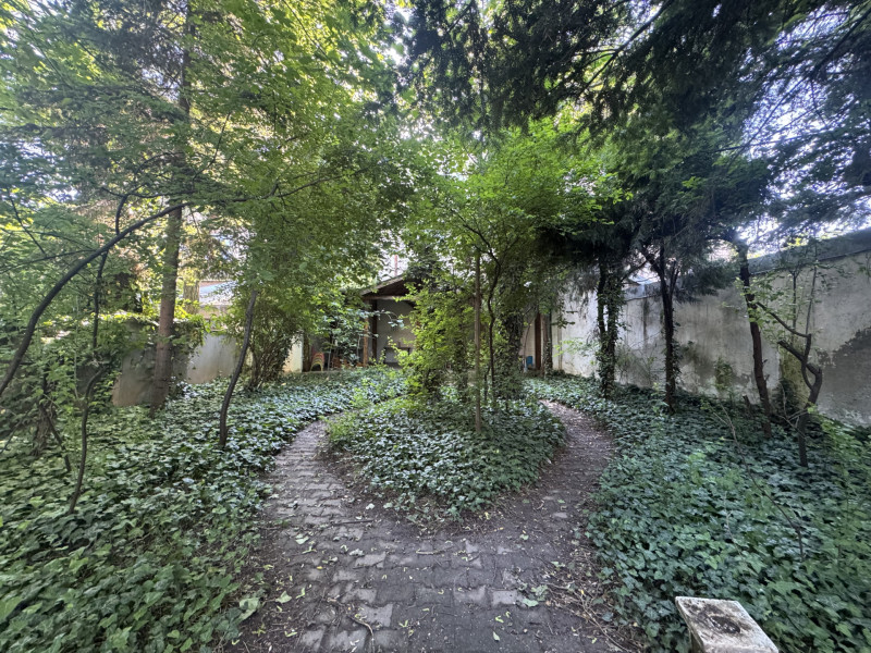 Proprietate unica la Grădina Icoanei