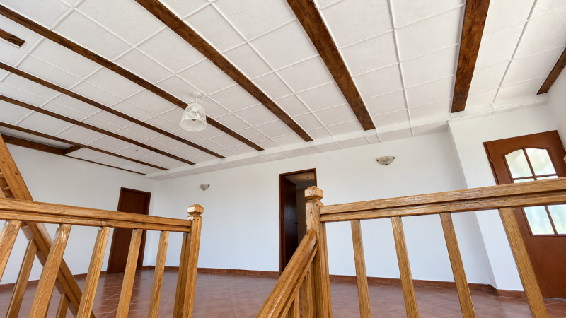 VAND O VILA IN PADUREA DIN FILIPESTI