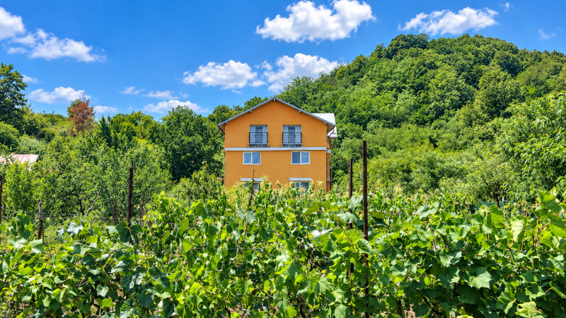 VAND O VILA IN PADUREA DIN FILIPESTI