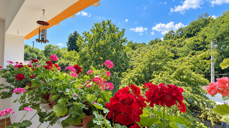 VAND O VILA IN PADUREA DIN FILIPESTI