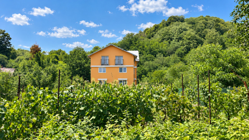VAND O VILA IN PADUREA DIN FILIPESTI