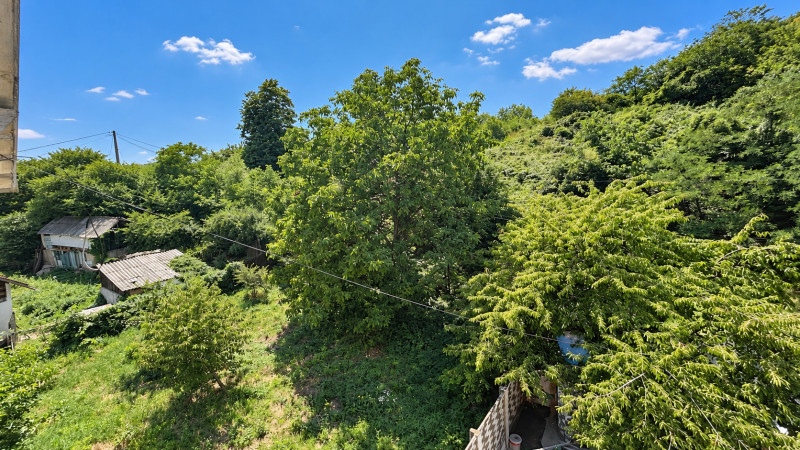 VAND O VILA IN PADUREA DIN FILIPESTI