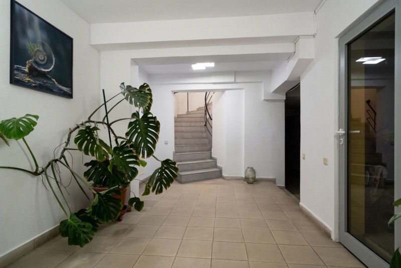 Oferta rara in Primaverii