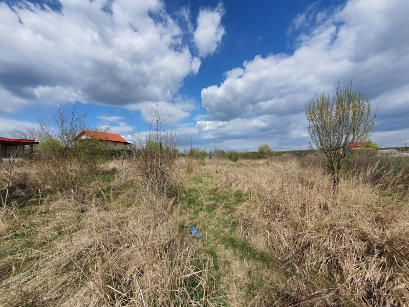 Vanzare teren langa lacul Snagov