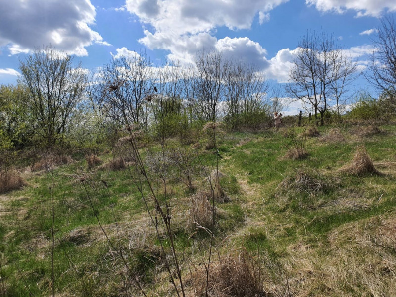 Vanzare teren langa lacul Snagov