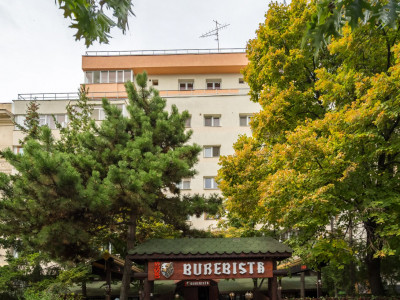 Apartament 3 camere in bloc unic Calea Mosilor