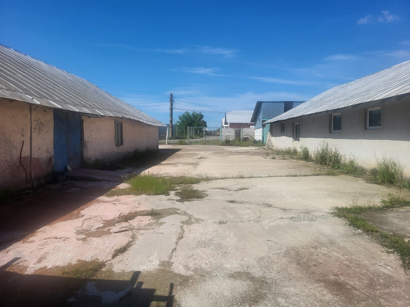3331 MP INTRAVILAN BUCOV, HALE INDUSTRIALE, LIVADA POMI FRUCTIFERI, BIROU