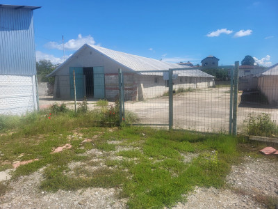 3331 MP INTRAVILAN BUCOV, HALE INDUSTRIALE, LIVADA POMI FRUCTIFERI, BIROU