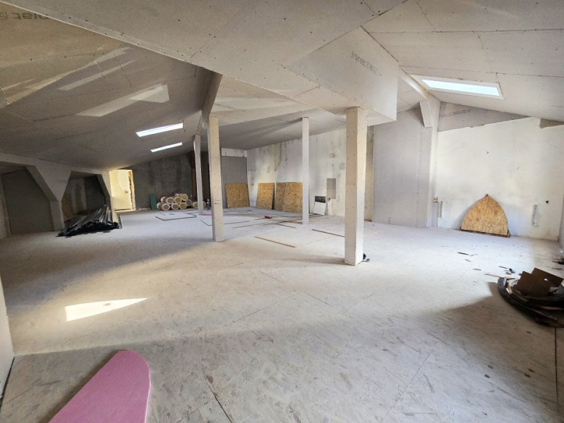  Casa Individuală | Grădină Icoanei
