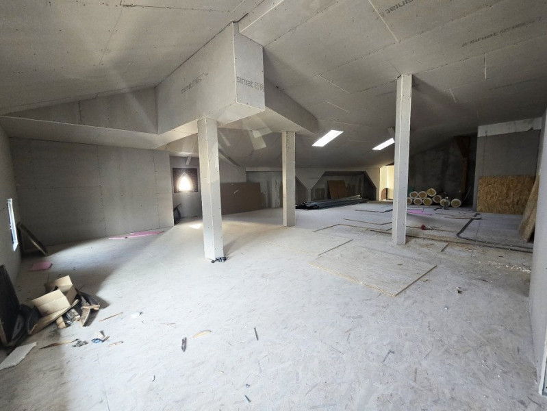  Casa Individuală | Grădină Icoanei