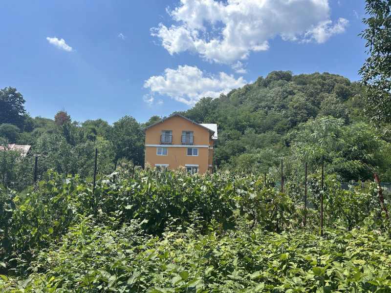 VAND O VILA IN PADUREA DIN FILIPESTI