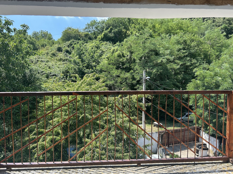 VAND O VILA IN PADUREA DIN FILIPESTI