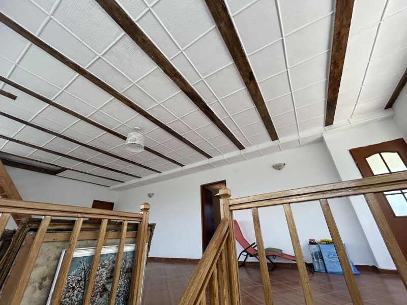 VAND O VILA IN PADUREA DIN FILIPESTI