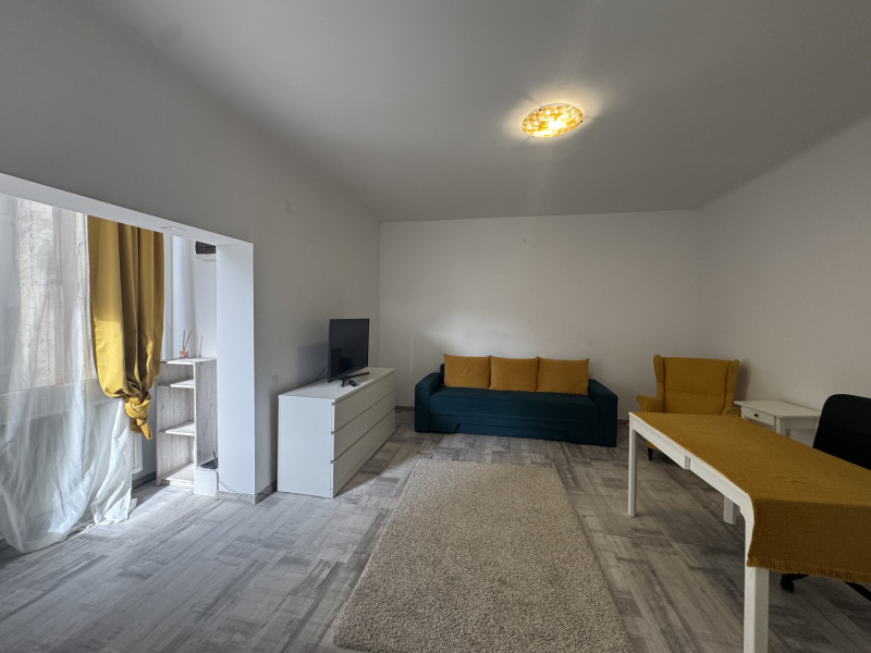 Garsoniera de pe strada Visinilor